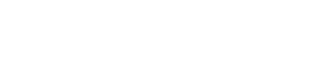 LOGO-D&V-HOLDING-white-2-